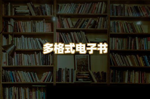 多格式电子书